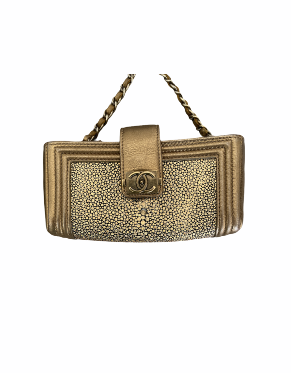 Chanel Wallet On Chain Python Bag