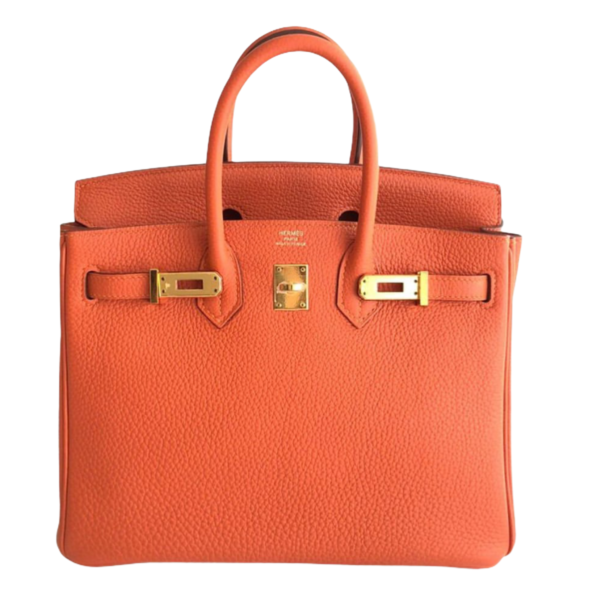 Pre Loved Hermes Birkin 25 Orange Togo Ghw Handbag