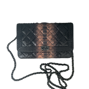 Chanel Boy Wallet on Chain Python Bag
