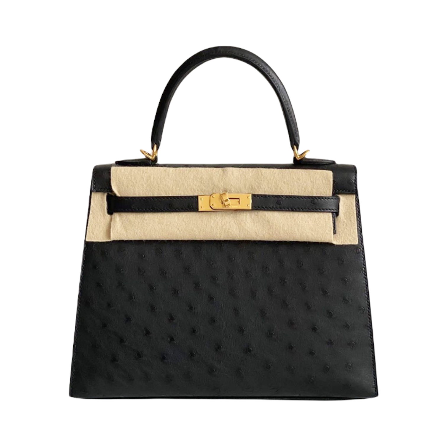 Hermès Kelly 25 In Black Ostrich Leather With Gold Hardware