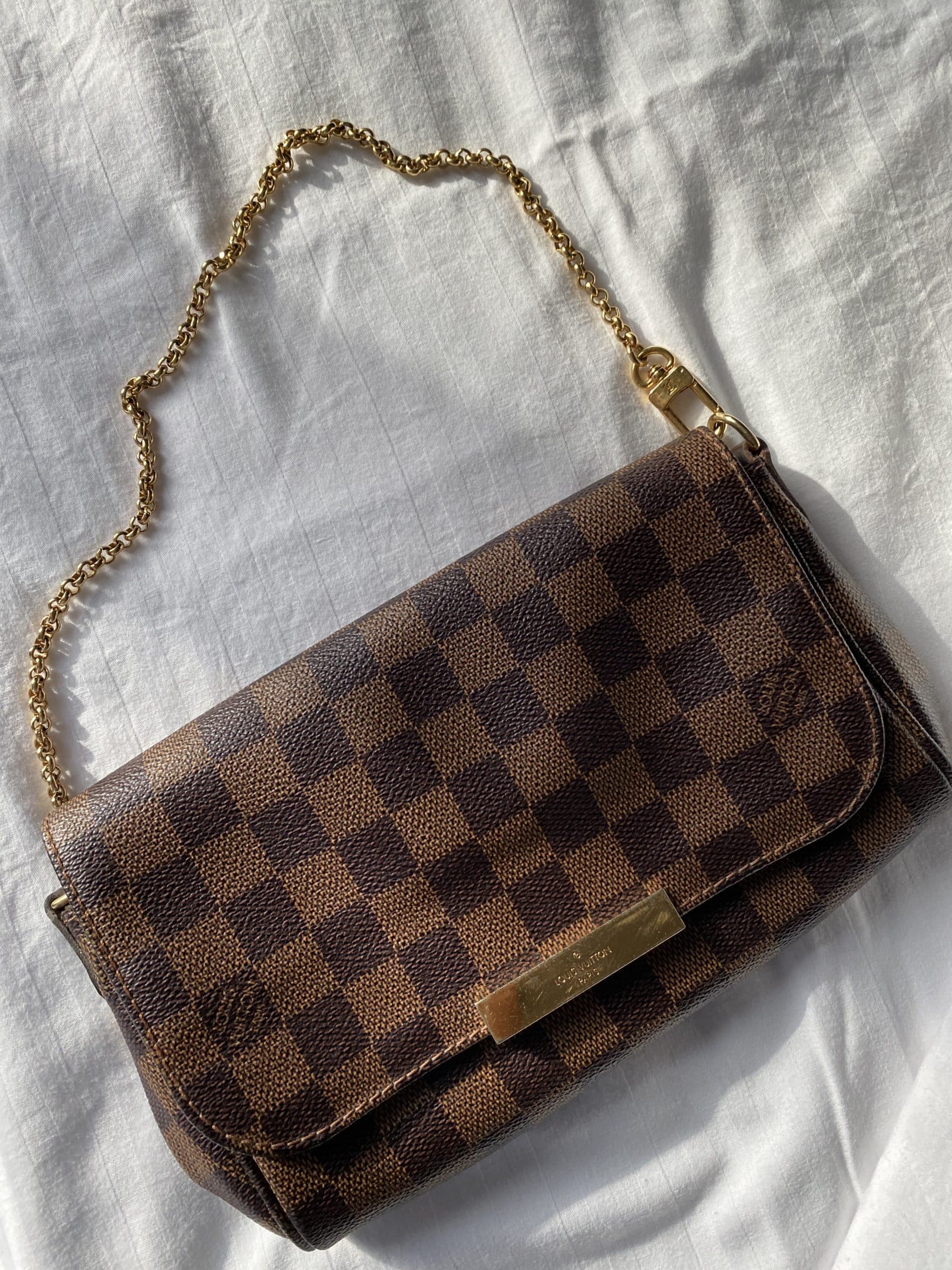 Louis Vuitton Favorite PM Damier Ebene Bag (SA3196) – AE Deluxe LLC®