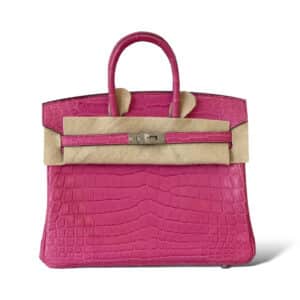 Hermes Birkin 25 Himalaya - The Luxury Flavor