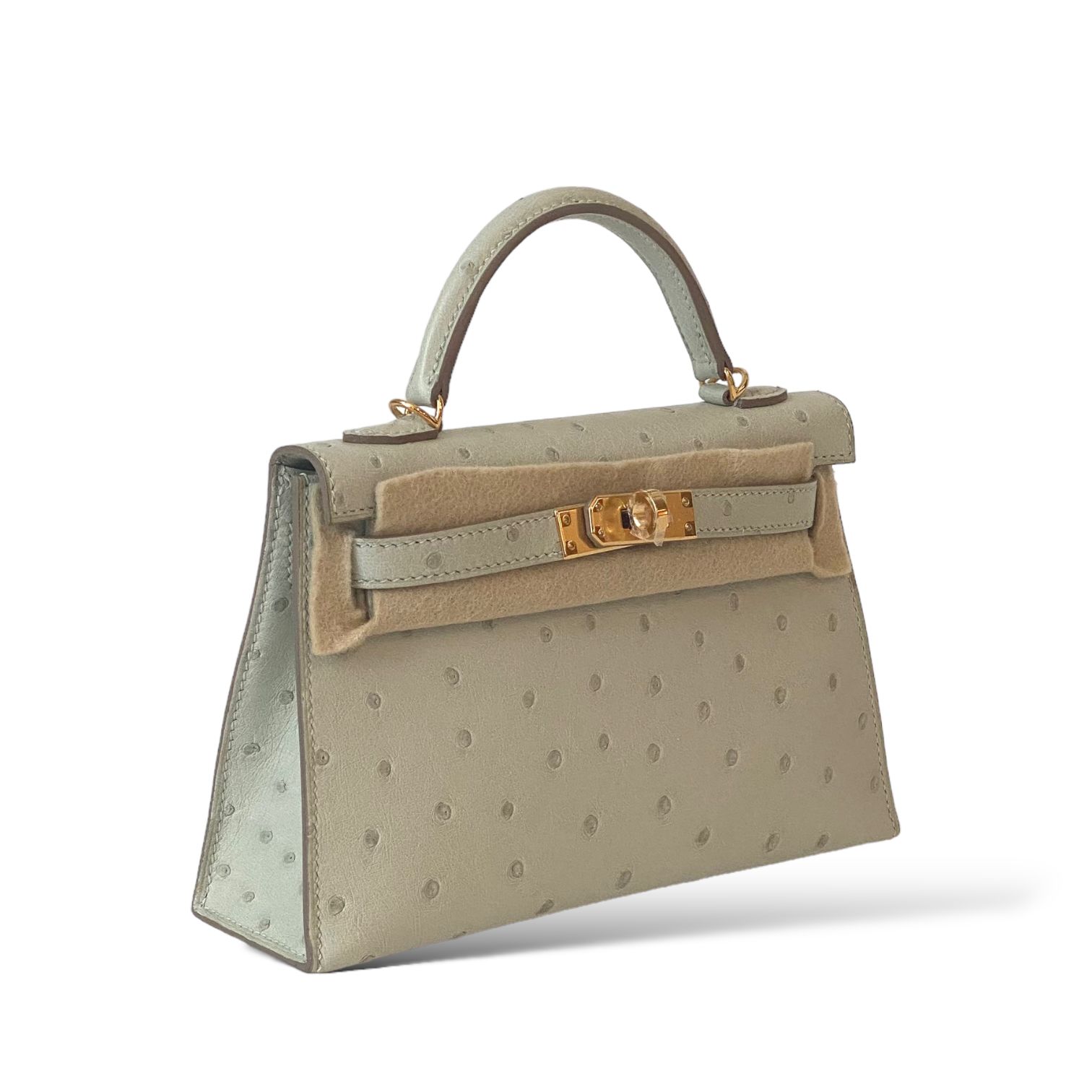 Hermes Kelly Mini Ostrich GHW - The Luxury Flavor