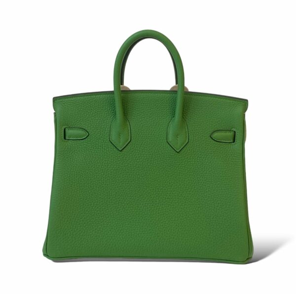 Hermès Birkin 25 Vert Yucca Togo PHW | The Luxury Flavor
